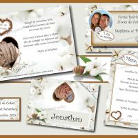 collection coton