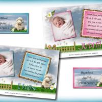 collection mouton