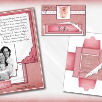 collection papier rose
